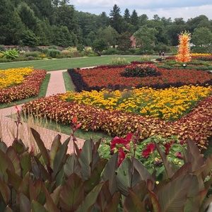 Meet your Posher, Ella